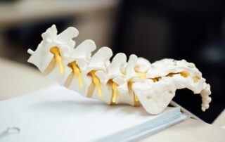Spine